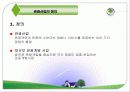 한국의 관광과 경제 3페이지