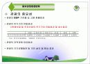 한국의 관광과 경제 4페이지