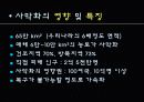 사막화 방지를 위한 대책 7페이지