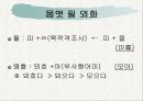 월인천강지곡(月印千江之曲) 원문해석 29페이지