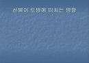 산불이 토양에 미치는 영향 1페이지