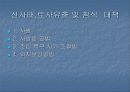 산불이 토양에 미치는 영향 10페이지
