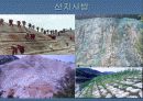 산불이 토양에 미치는 영향 13페이지