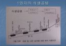 산불이 토양에 미치는 영향 20페이지
