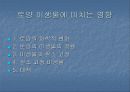 산불이 토양에 미치는 영향 29페이지