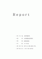 2008 예산분석안  1페이지