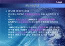 대기오염의 피해 29페이지