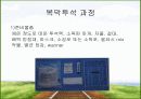 CAPD 간호 3페이지