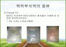 CAPD 간호 8페이지