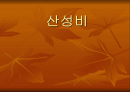 산성비의 원인과 향후 전망 및 대책 1페이지