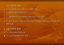 산성비의 원인과 향후 전망 및 대책 6페이지
