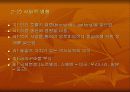 산성비의 원인과 향후 전망 및 대책 10페이지