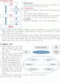 교육과정 및 교육평가 중간고사 4페이지