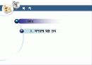 바이킹 경영학 5페이지