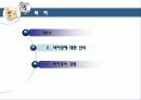 바이킹 경영학 10페이지
