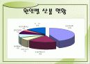 산불의 현황과 예방방법 5페이지