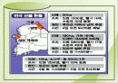 산불의 현황과 예방방법 16페이지