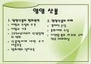 산불의 현황과 예방방법 19페이지