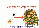 산불 예방 방법 10페이지