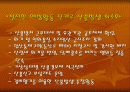 산불 예방 방법 13페이지
