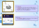 지구온난화가 산림생태계에 미치는 영향 4페이지