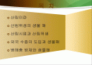 산림위생 2페이지