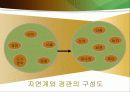 산림위생 5페이지