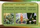 산림위생 9페이지