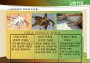 산림위생 10페이지