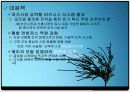 Anycall의 성공전략 14페이지