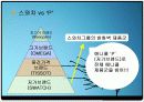 Anycall의 성공전략 19페이지