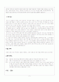 시각이미지에 대한 경험적 접근 2페이지