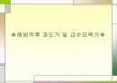 해방 이전의 교육과정과 제1차 교육과정기 8페이지