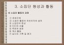 소집단 행동의 이해 13페이지