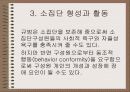 소집단 행동의 이해 15페이지