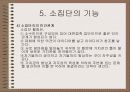 소집단 행동의 이해 25페이지