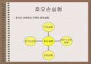 소집단 행동의 이해 26페이지