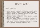 소집단 행동의 이해 28페이지