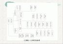 국제경제기구론-Lecture 4. UR 협상추진성과 및 WTO 체제출범 12페이지