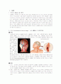 ICH케이스 2페이지