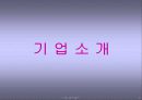 현대자동차 기업소개와 재무분석 5페이지