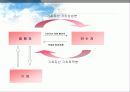글로벌재무전략 13페이지
