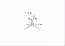 나이키 '에어 조던'마케팅 전략 18페이지
