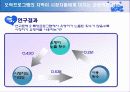 오락프로그램의 자막이 시청자들에게 미치는 긍정적인 영향 12페이지