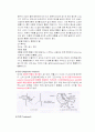 충수돌기염 4페이지