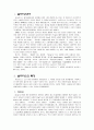 솔라리스란? 2페이지