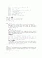 아시아나항공 마케팅 4페이지