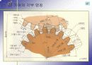 기어와 기어가공의 모든것 3페이지