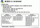 홍삼의 유래,우수성,특성,효능,시장현황 등 3페이지