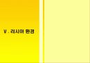 오뚜기 마요네즈의 성공전략-노란맛으로 러시아시장을 잡아라 14페이지